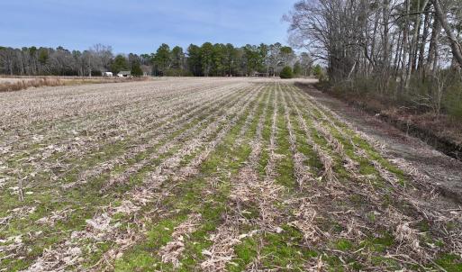 Photo #17 of SOLD property in Off Old Brick Road, Vanceboro, NC 12.0 acres