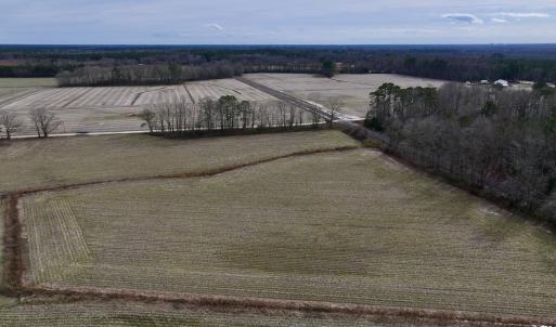 Photo #6 of Off Old Brick Road, Vanceboro, NC 12.0 acres