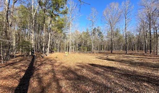 Photo #11 of SOLD property in Off Big Pine Rd, Painter, VA 31.8 acres