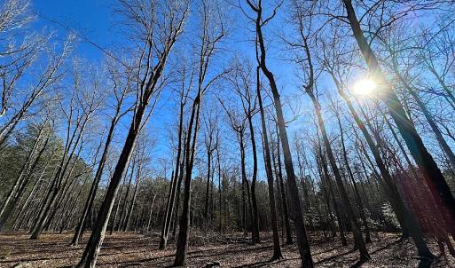 Photo #12 of SOLD property in Off Big Pine Rd, Painter, VA 31.8 acres