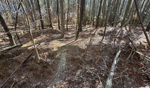 Photo #18 of SOLD property in Off Big Pine Rd, Painter, VA 31.8 acres