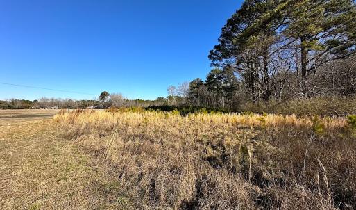 Photo #32 of SOLD property in Off Big Pine Rd, Painter, VA 31.8 acres
