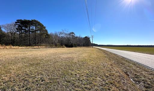 Photo #34 of SOLD property in Off Big Pine Rd, Painter, VA 31.8 acres