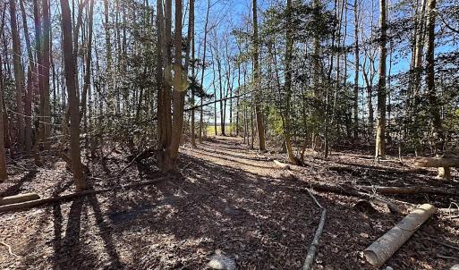 Photo #37 of SOLD property in Off Big Pine Rd, Painter, VA 31.8 acres