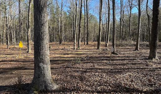 Photo #39 of SOLD property in Off Big Pine Rd, Painter, VA 31.8 acres