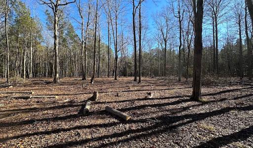 Photo #40 of SOLD property in Off Big Pine Rd, Painter, VA 31.8 acres