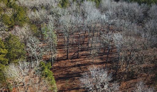 Photo #4 of SOLD property in Off Big Pine Rd, Painter, VA 31.8 acres