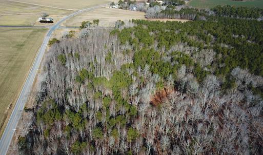 Photo #5 of SOLD property in Off Big Pine Rd, Painter, VA 31.8 acres