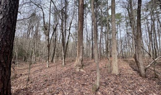 Photo #11 of SOLD property in Off Hwy US 17, Vanceboro, NC 13.6 acres