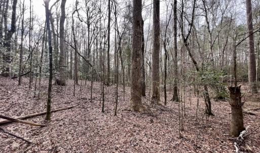 Photo #12 of SOLD property in Off Hwy US 17, Vanceboro, NC 13.6 acres