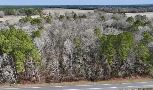 Photo #13 of SOLD property in Off Hwy US 17, Vanceboro, NC 13.6 acres
