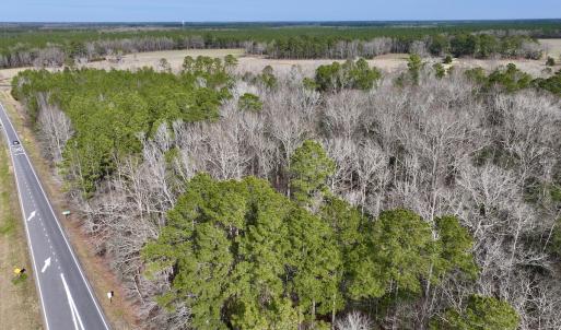 Photo #14 of SOLD property in Off Hwy US 17, Vanceboro, NC 13.6 acres