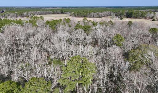 Photo #15 of SOLD property in Off Hwy US 17, Vanceboro, NC 13.6 acres
