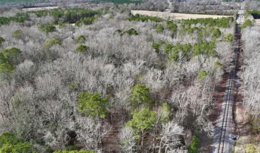 Photo #18 of SOLD property in Off Hwy US 17, Vanceboro, NC 13.6 acres