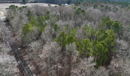 Photo #20 of SOLD property in Off Hwy US 17, Vanceboro, NC 13.6 acres