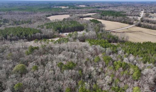 Photo #22 of SOLD property in Off Hwy US 17, Vanceboro, NC 13.6 acres