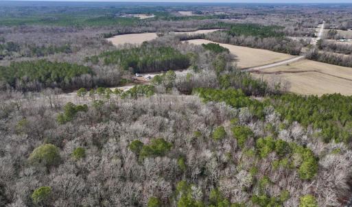 Photo #22 of SOLD property in Off Hwy US 17, Vanceboro, NC 13.6 acres