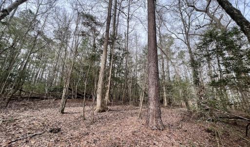 Photo #23 of SOLD property in Off Hwy US 17, Vanceboro, NC 13.6 acres