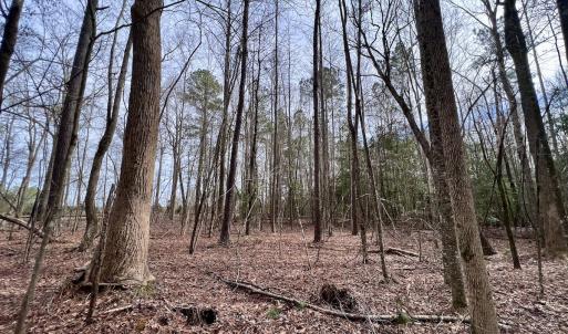 Photo #29 of SOLD property in Off Hwy US 17, Vanceboro, NC 13.6 acres