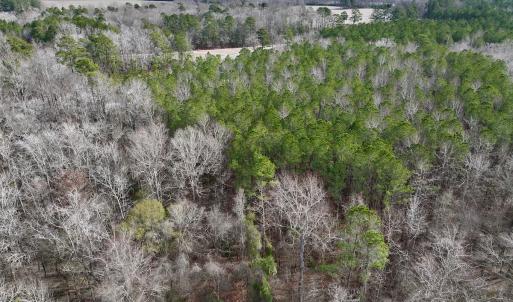 Photo #30 of SOLD property in Off Hwy US 17, Vanceboro, NC 13.6 acres