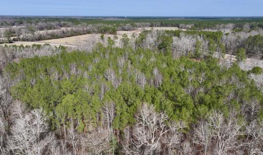 Photo #32 of SOLD property in Off Hwy US 17, Vanceboro, NC 13.6 acres