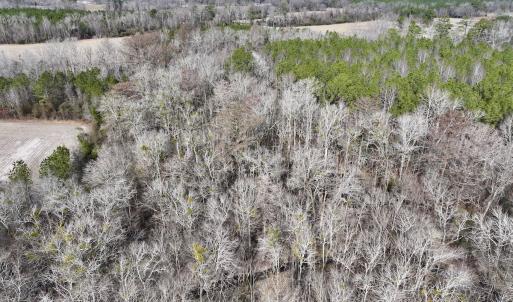 Photo #35 of SOLD property in Off Hwy US 17, Vanceboro, NC 13.6 acres