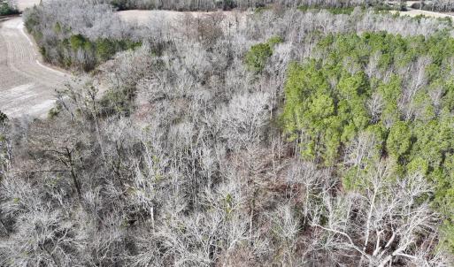 Photo #36 of SOLD property in Off Hwy US 17, Vanceboro, NC 13.6 acres