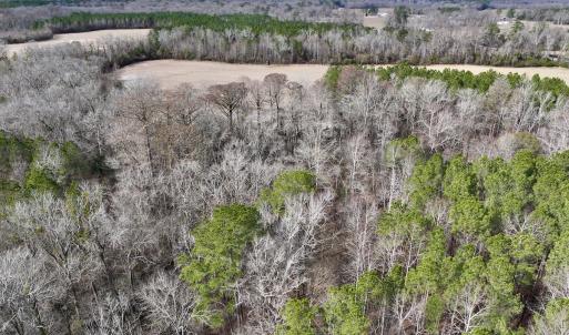 Photo #37 of SOLD property in Off Hwy US 17, Vanceboro, NC 13.6 acres