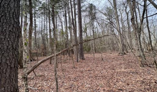 Photo #38 of SOLD property in Off Hwy US 17, Vanceboro, NC 13.6 acres