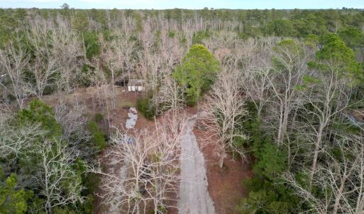 Photo #2 of SOLD property in 113 Matthews Rd, Bayboro, NC 5.3 acres