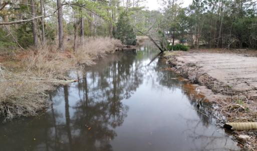 Photo #11 of SOLD property in 113 Matthews Rd, Bayboro, NC 5.3 acres