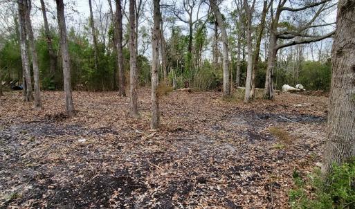 Photo #14 of SOLD property in 113 Matthews Rd, Bayboro, NC 5.3 acres