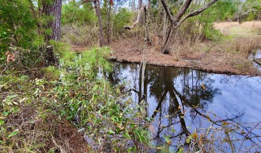 Photo #15 of SOLD property in 113 Matthews Rd, Bayboro, NC 5.3 acres