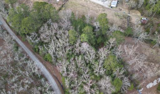 Photo #17 of SOLD property in 113 Matthews Rd, Bayboro, NC 5.3 acres