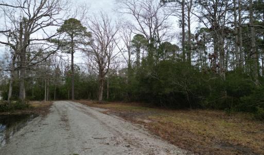 Photo #18 of SOLD property in 113 Matthews Rd, Bayboro, NC 5.3 acres