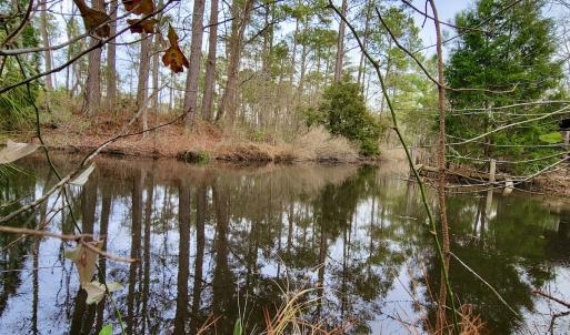 Photo #19 of SOLD property in 113 Matthews Rd, Bayboro, NC 5.3 acres