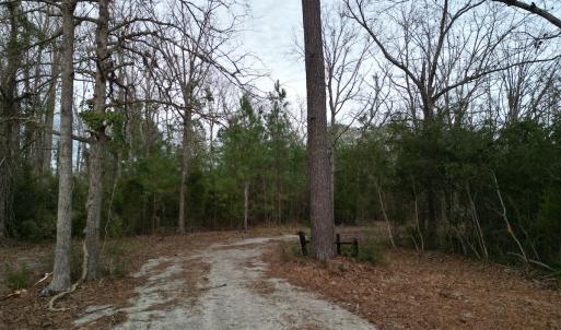 Photo #20 of SOLD property in 113 Matthews Rd, Bayboro, NC 5.3 acres