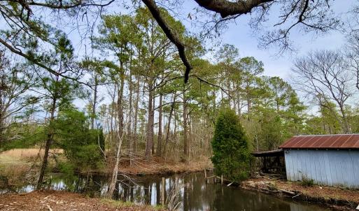 Photo #3 of SOLD property in 113 Matthews Rd, Bayboro, NC 5.3 acres