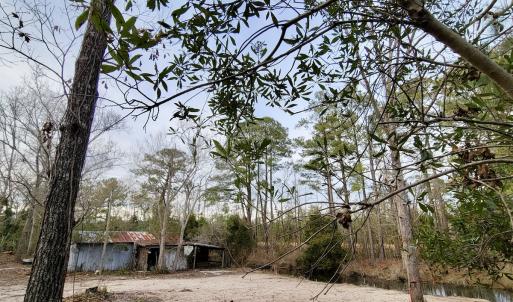 Photo #4 of SOLD property in 113 Matthews Rd, Bayboro, NC 5.3 acres