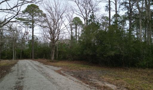 Photo #5 of SOLD property in 113 Matthews Rd, Bayboro, NC 5.3 acres