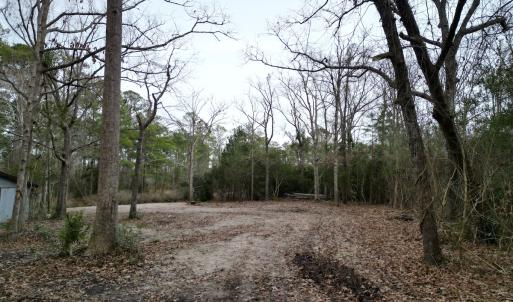 Photo #6 of SOLD property in 113 Matthews Rd, Bayboro, NC 5.3 acres