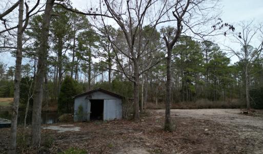 Photo #7 of SOLD property in 113 Matthews Rd, Bayboro, NC 5.3 acres