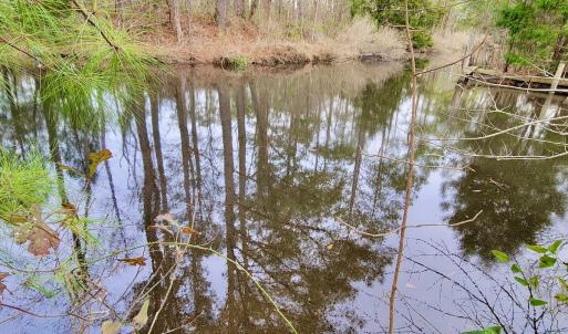 Photo #8 of SOLD property in 113 Matthews Rd, Bayboro, NC 5.3 acres