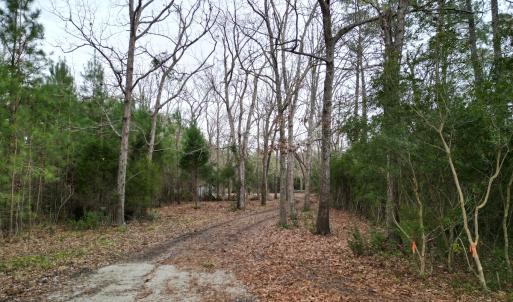 Photo #21 of SOLD property in 113 Matthews Rd, Bayboro, NC 5.3 acres
