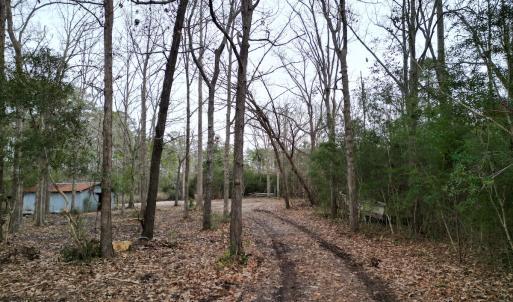 Photo #22 of SOLD property in 113 Matthews Rd, Bayboro, NC 5.3 acres