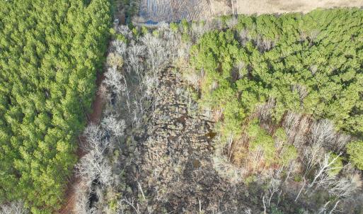 Photo #45 of 7297 NC Hwy 99 S, Belhaven, NC 23.0 acres