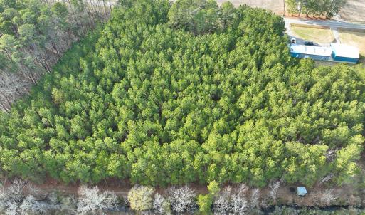 Photo #46 of 7297 NC Hwy 99 S, Belhaven, NC 23.0 acres