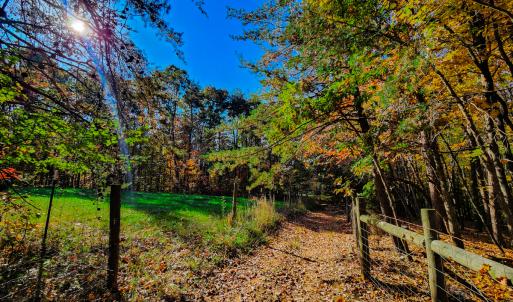 Photo #11 of SOLD property in 1254 Anglin Mill Rd, Stoneville, NC 44.5 acres