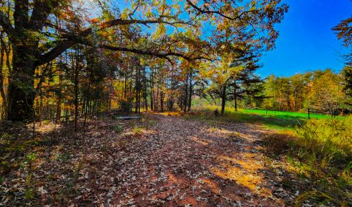 Photo #12 of SOLD property in 1254 Anglin Mill Rd, Stoneville, NC 44.5 acres