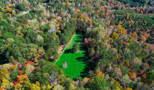 Photo #13 of SOLD property in 1254 Anglin Mill Rd, Stoneville, NC 44.5 acres